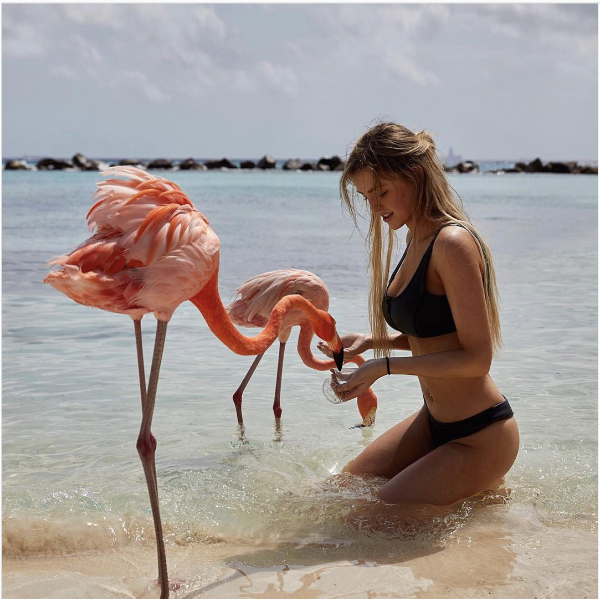 blond girl with long hair at beach with flamingo