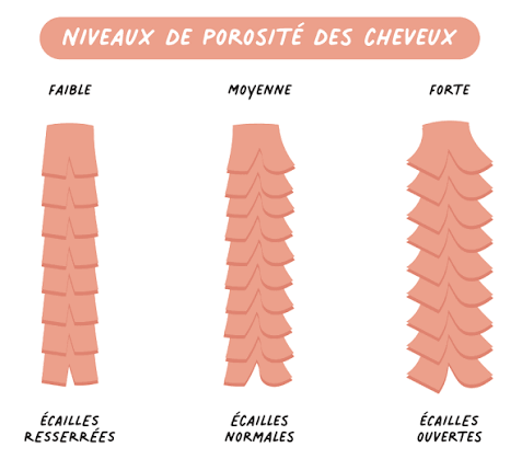 niveaux de porosité des cheveux chez stalter a strasbourg