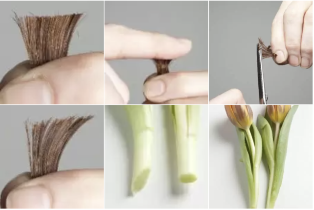 CalligraphyCut: La solution à vos problèmes de cheveux à strasbourg